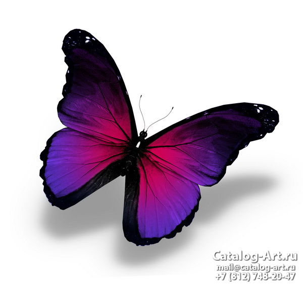  Butterflies 125